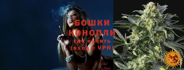 шишки Армянск