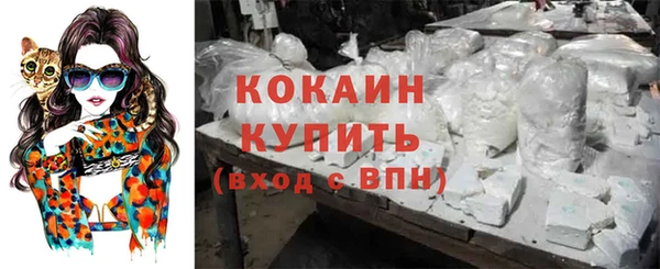 шишки Армянск