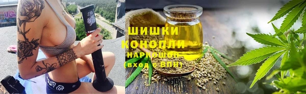 шишки Армянск